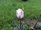 20140424_195135