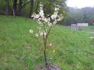 20140424_195155