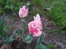 20140424_195306