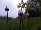 20140424_195341