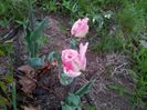 20140424_195421