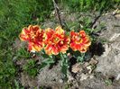20140426_134403