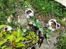 20140426_134426