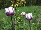 20140426_134435