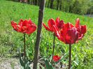 20140426_134530