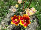 20140426_134546