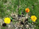 20140426_134749