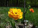 20140426_134756