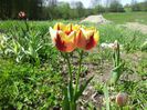 20140426_142053