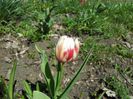 20140426_142154