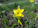 20140426_142337