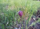 20140428_193557