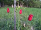 20140428_193635