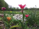 20140430_124917