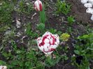 20140430_124936