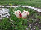 20140430_124947