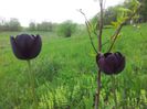20140430_125155