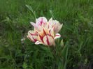 20140430_125402