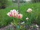20140430_125408