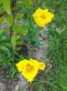 20140430_125442