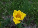20140430_125447