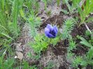 20140430_125509