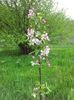20140430_125529