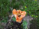 20140430_125547
