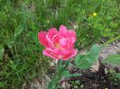 20140430_125551