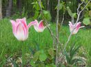 20140430_125722
