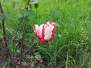 20140430_125739