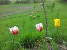 20140430_125807