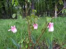 20140501_182559