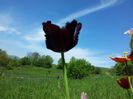 20140508_122045