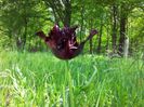 20140508_122242