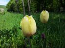 20140508_122259