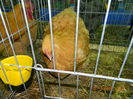 DSCN7701