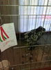 IMG_20141207_103407
