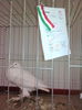 IMG_20141207_103442