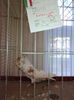 IMG_20141207_103455