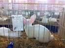 IMG_20141212_154420