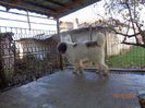 DSC01231
