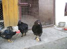 DSCF0344