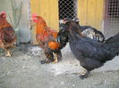 DSCF0347