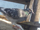DSCN1675