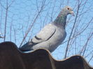 DSCN1673