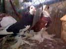 IMG-20141026-01066