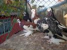 IMG-20141026-01064