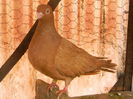 DSCN8196