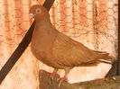 DSCN8197